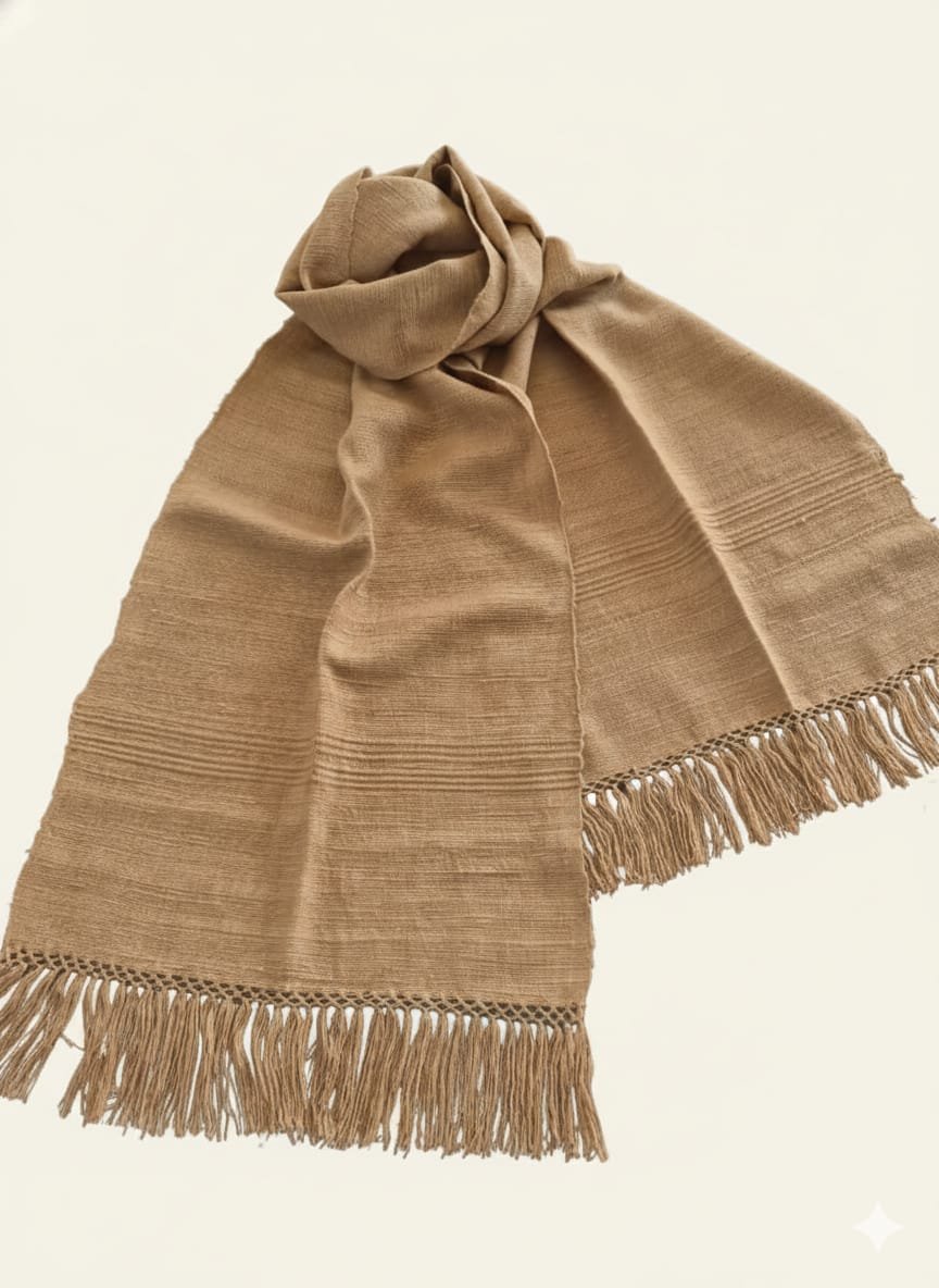 WhatsApp Image 2026-03-31 at 9.03.54 PM (1)