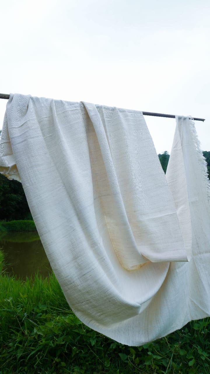 WhatsApp Image 2026-03-31 at 9.07.55 PM (1)