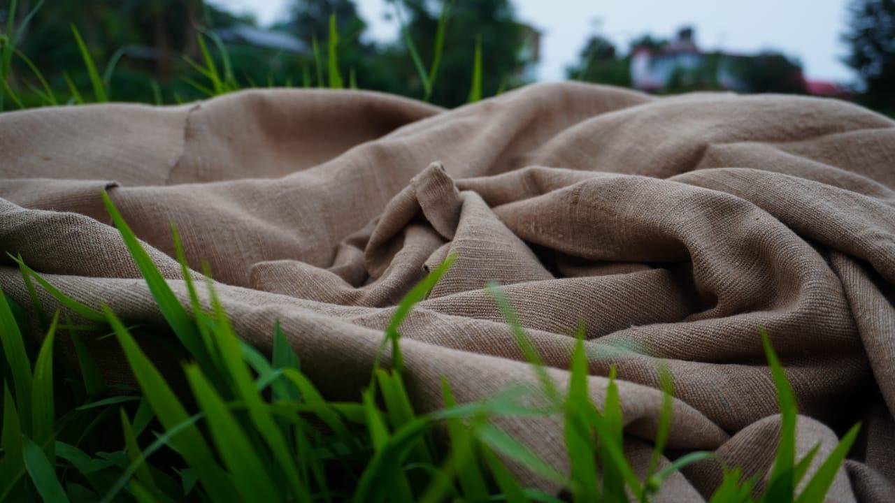 WhatsApp Image 2026-03-31 at 9.07.55 PM