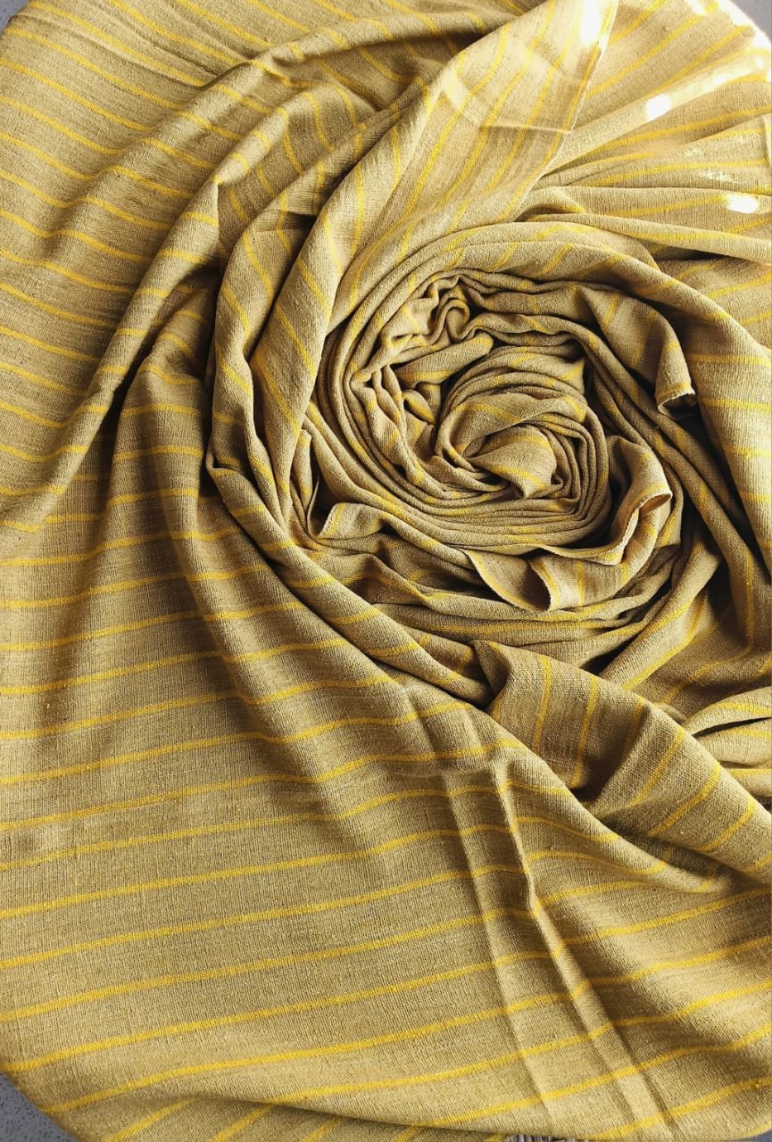 WhatsApp Image 2026-03-31 at 9.07.56 PM